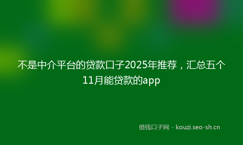 不是中介平台的贷款口子2025年推荐，汇总五个11月能贷款的app