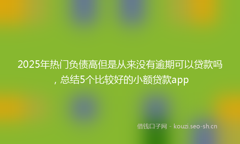 2025年热门负债高但是从来没有逾期可以贷款吗,总结5个比较好的小额贷款app