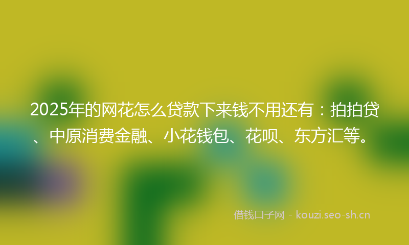 2025年的网花怎么贷款下来钱不用还有：拍拍贷、中原消费金融、小花钱包、花呗、东方汇等。