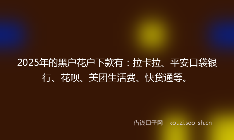 2025年的黑户花户下款有：拉卡拉、平安口袋银行、花呗、美团生活费、快贷通等。