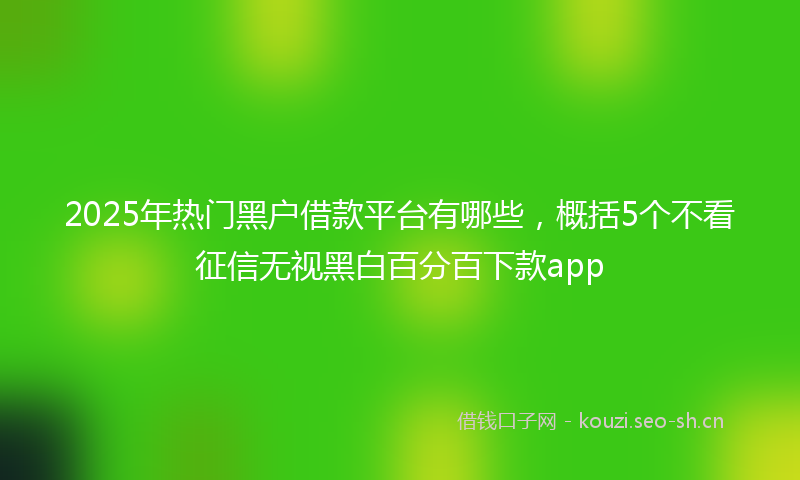 2025年热门黑户借款平台有哪些，概括5个不看征信无视黑白百分百下款app