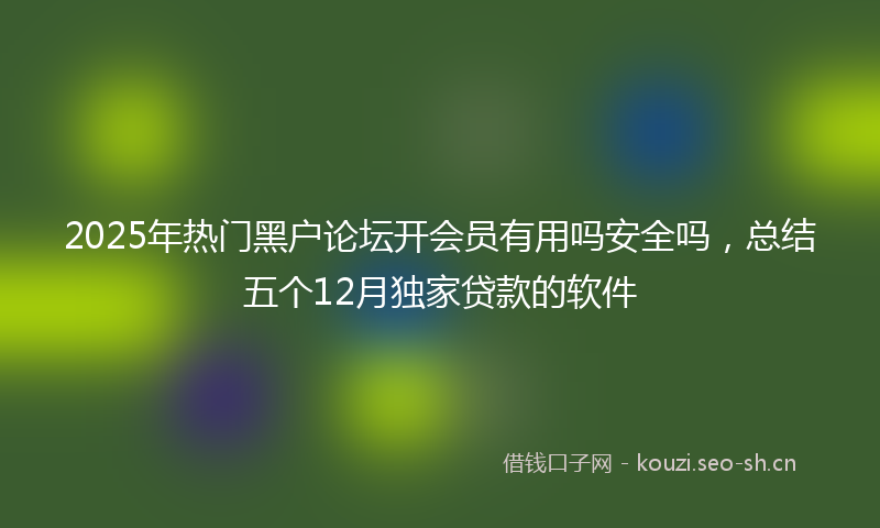 2025年热门黑户论坛开会员有用吗安全吗,总结五个12月独家贷款的软件