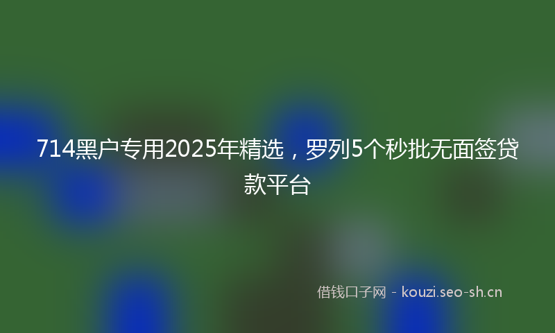714黑户专用2025年精选，罗列5个秒批无面签贷款平台