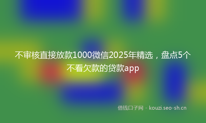 不审核直接放款1000微信2025年精选，盘点5个不看欠款的贷款app
