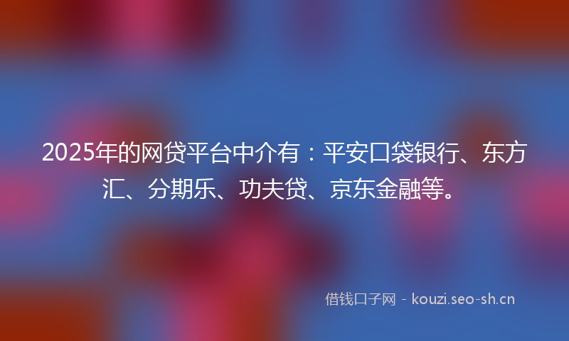 2025年的网贷平台中介有：平安口袋银行、东方汇、分期乐、功夫贷、京东金融等。