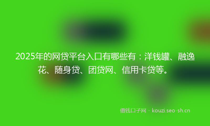2025年的网贷平台入口有哪些有：洋钱罐、融逸花、随身贷、团贷网、信用卡贷等。