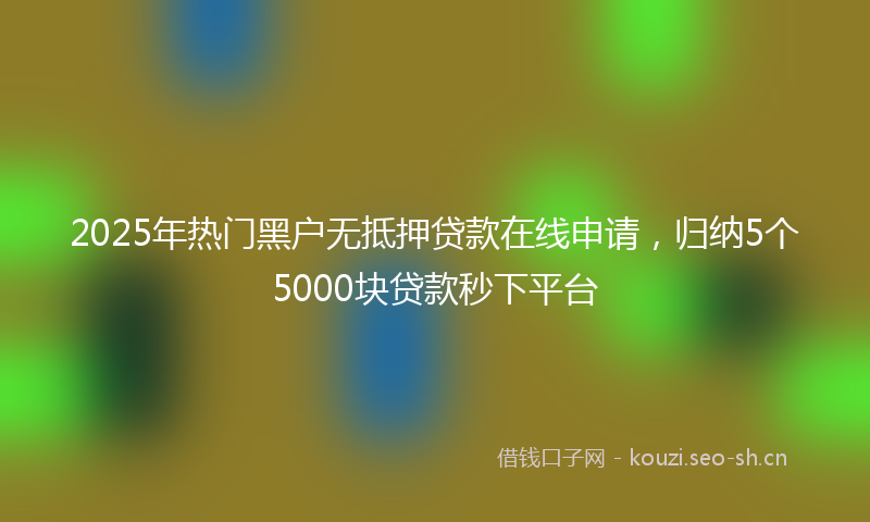 2025年热门黑户无抵押贷款在线申请，归纳5个5000块贷款秒下平台