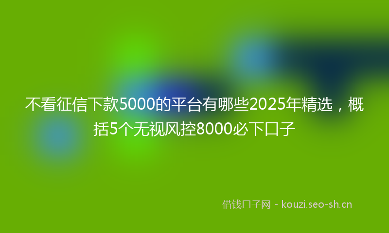 不看征信下款5000的平台有哪些2025年精选，概括5个无视风控8000必下口子