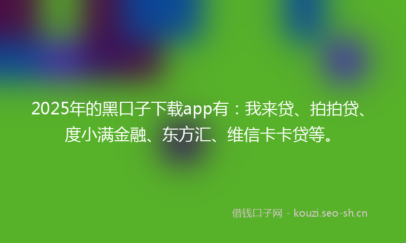 2025年的黑口子下载app有：我来贷、拍拍贷、度小满金融、东方汇、维信卡卡贷等。