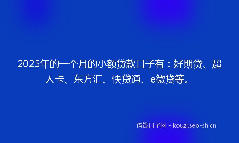 2025年的一个月的小额贷款口子有:好期贷、超人卡、东方汇、快贷通、e微贷等。