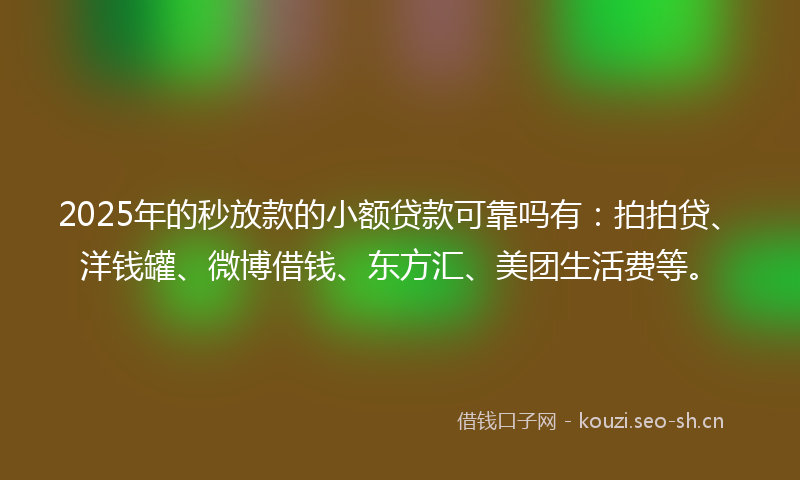 2025年的秒放款的小额贷款可靠吗有：拍拍贷、洋钱罐、微博借钱、东方汇、美团生活费等。