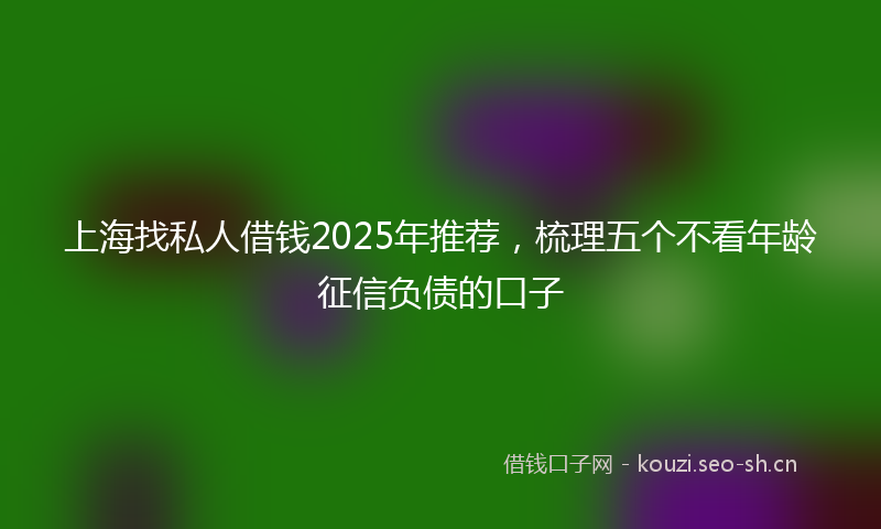 上海找私人借钱2025年推荐，梳理五个不看年龄征信负债的口子