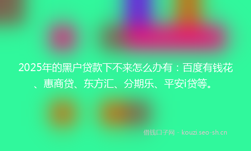 2025年的黑户贷款下不来怎么办有：百度有钱花、惠商贷、东方汇、分期乐、平安i贷等。