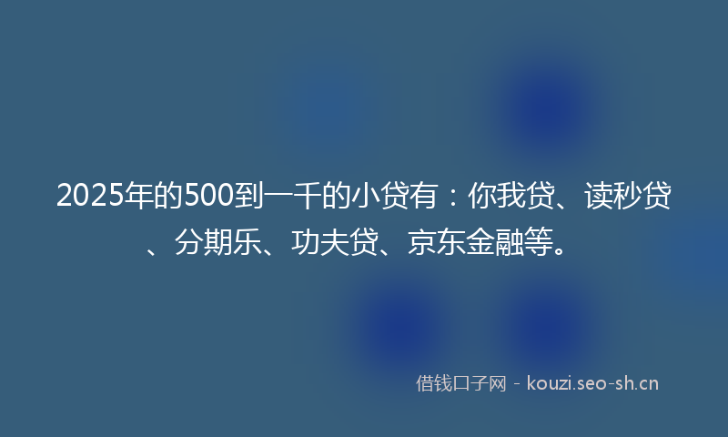2025年的500到一千的小贷有：你我贷、读秒贷、分期乐、功夫贷、京东金融等。