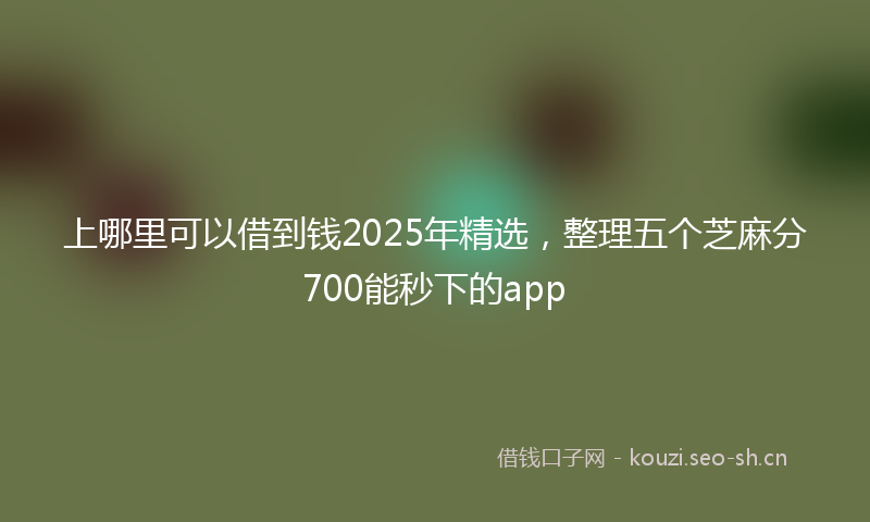 上哪里可以借到钱2025年精选,整理五个芝麻分700能秒下的app