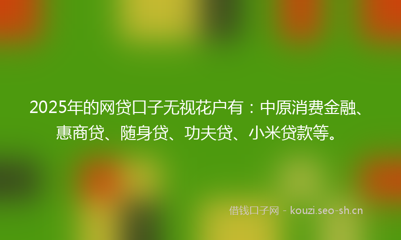 2025年的网贷口子无视花户有：中原消费金融、惠商贷、随身贷、功夫贷、小米贷款等。