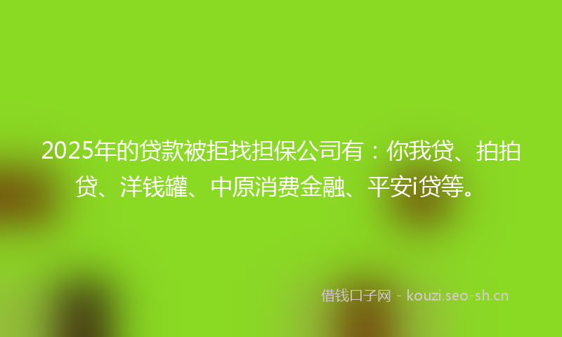 2025年的贷款被拒找担保公司有：你我贷、拍拍贷、洋钱罐、中原消费金融、平安i贷等。