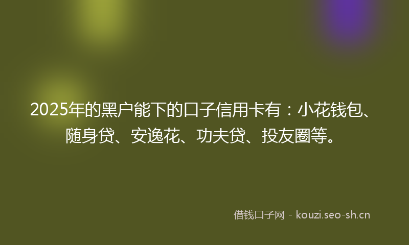 2025年的黑户能下的口子信用卡有：小花钱包、随身贷、安逸花、功夫贷、投友圈等。