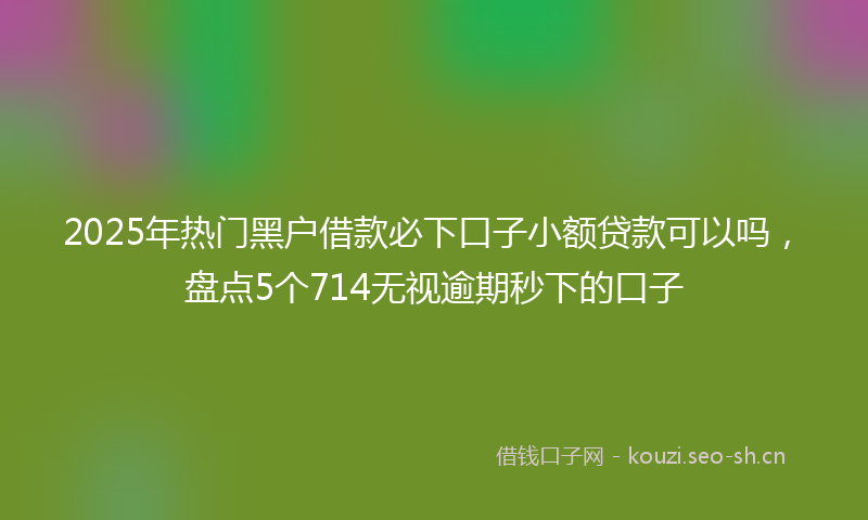 2025年热门黑户借款必下口子小额贷款可以吗，盘点5个714无视逾期秒下的口子