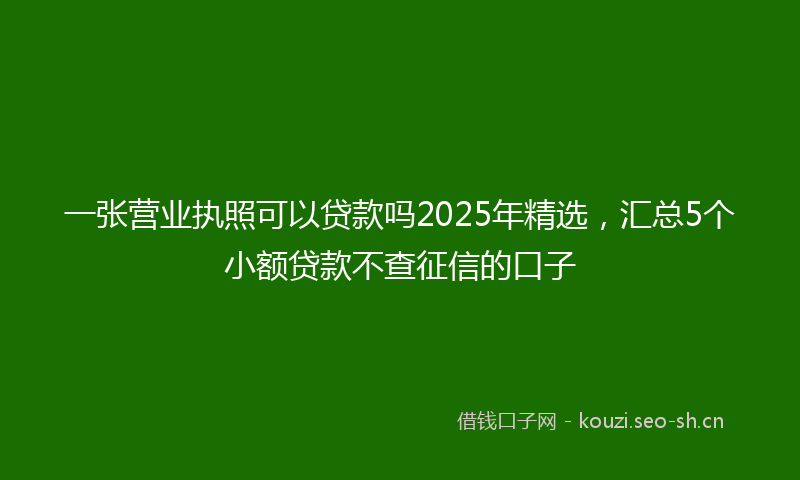 一张营业执照可以贷款吗2025年精选，汇总5个小额贷款不查征信的口子
