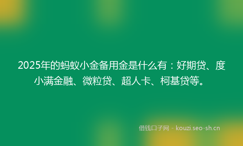 2025年的蚂蚁小金备用金是什么有：好期贷、度小满金融、微粒贷、超人卡、柯基贷等。