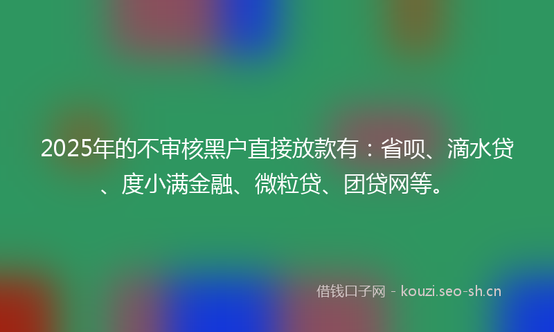 2025年的不审核黑户直接放款有：省呗、滴水贷、度小满金融、微粒贷、团贷网等。