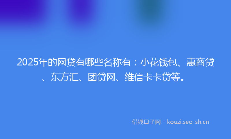 2025年的网贷有哪些名称有：小花钱包、惠商贷、东方汇、团贷网、维信卡卡贷等。