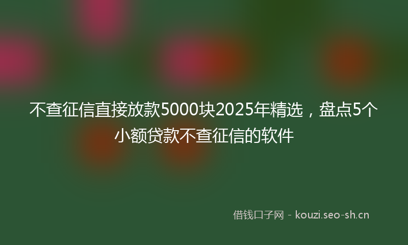 不查征信直接放款5000块2025年精选，盘点5个小额贷款不查征信的软件
