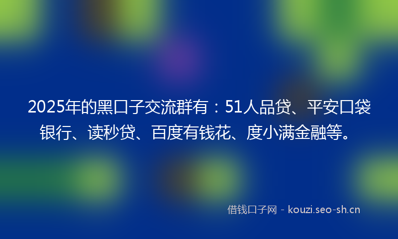 2025年的黑口子交流群有：51人品贷、平安口袋银行、读秒贷、百度有钱花、度小满金融等。