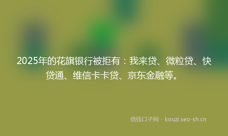 2025年的花旗银行被拒有：我来贷、微粒贷、快贷通、维信卡卡贷、京东金融等。