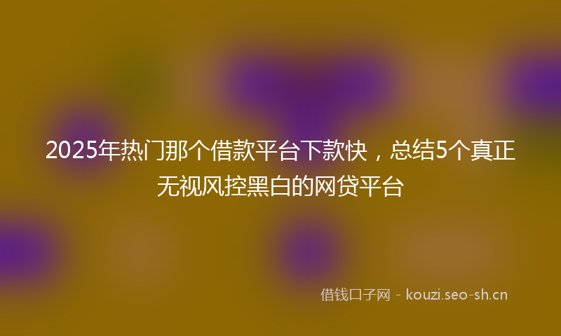 2025年热门那个借款平台下款快，总结5个真正无视风控黑白的网贷平台