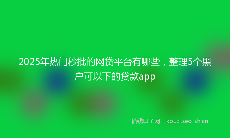 2025年热门秒批的网贷平台有哪些，整理5个黑户可以下的贷款app