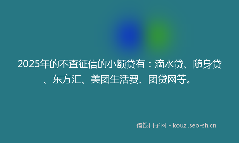 2025年的不查征信的小额贷有：滴水贷、随身贷、东方汇、美团生活费、团贷网等。