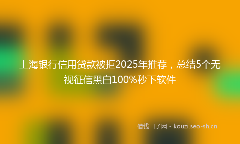 上海银行信用贷款被拒2025年推荐，总结5个无视征信黑白100%秒下软件