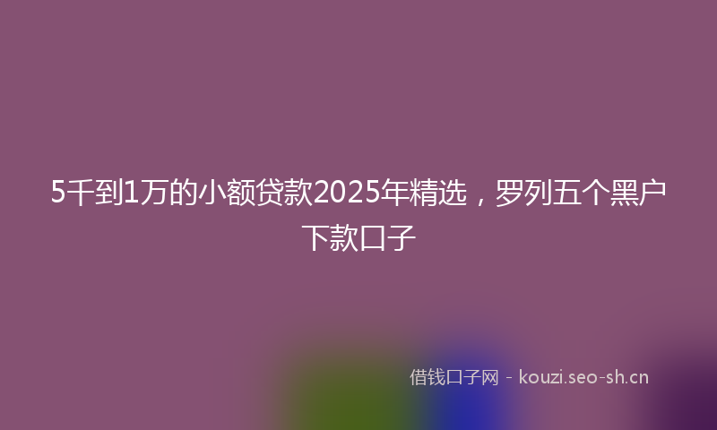 5千到1万的小额贷款2025年精选,罗列五个黑户下款口子