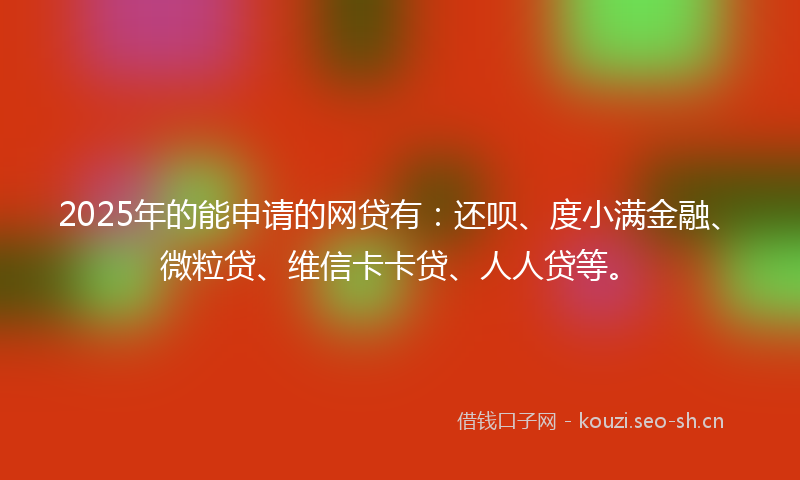 2025年的能申请的网贷有：还呗、度小满金融、微粒贷、维信卡卡贷、人人贷等。