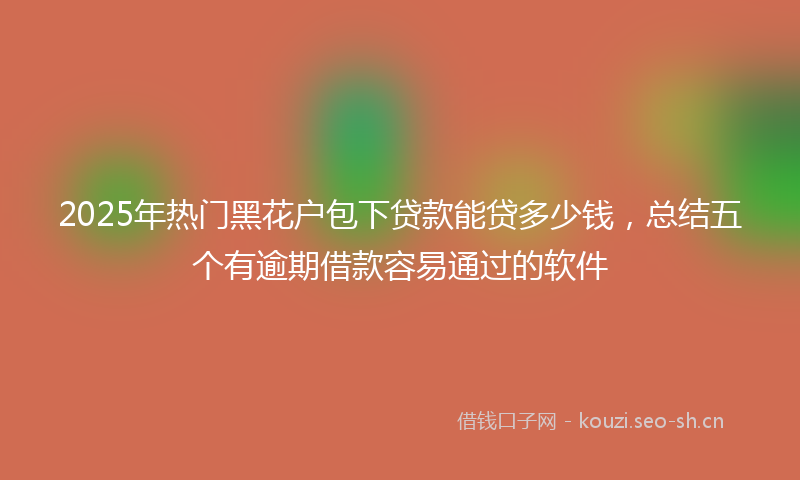 2025年热门黑花户包下贷款能贷多少钱，总结五个有逾期借款容易通过的软件