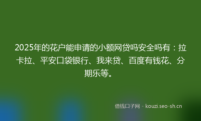 2025年的花户能申请的小额网贷吗安全吗有：拉卡拉、平安口袋银行、我来贷、百度有钱花、分期乐等。