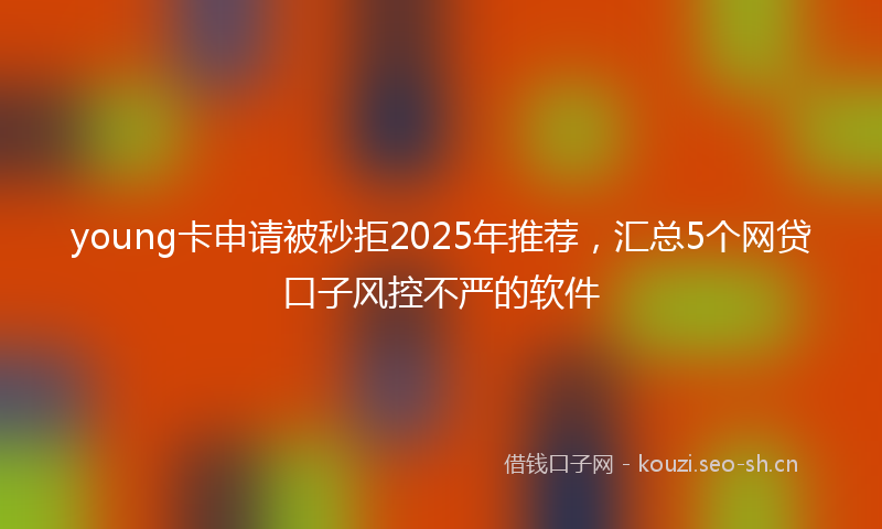 young卡申请被秒拒2025年推荐,汇总5个网贷口子风控不严的软件