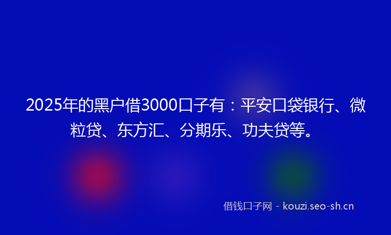 2025年的黑户借3000口子有：平安口袋银行、微粒贷、东方汇、分期乐、功夫贷等。
