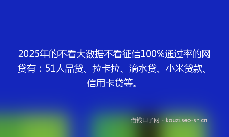 2025年的不看大数据不看征信100%通过率的网贷有：51人品贷、拉卡拉、滴水贷、小米贷款、信用卡贷等。