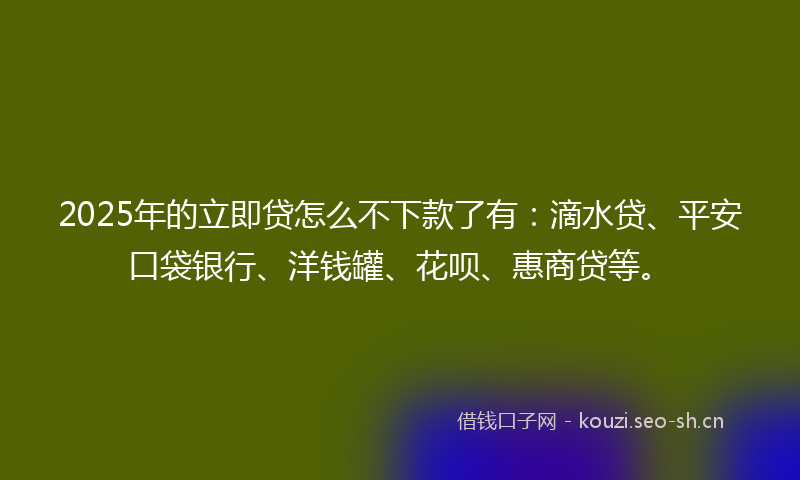 2025年的立即贷怎么不下款了有：滴水贷、平安口袋银行、洋钱罐、花呗、惠商贷等。