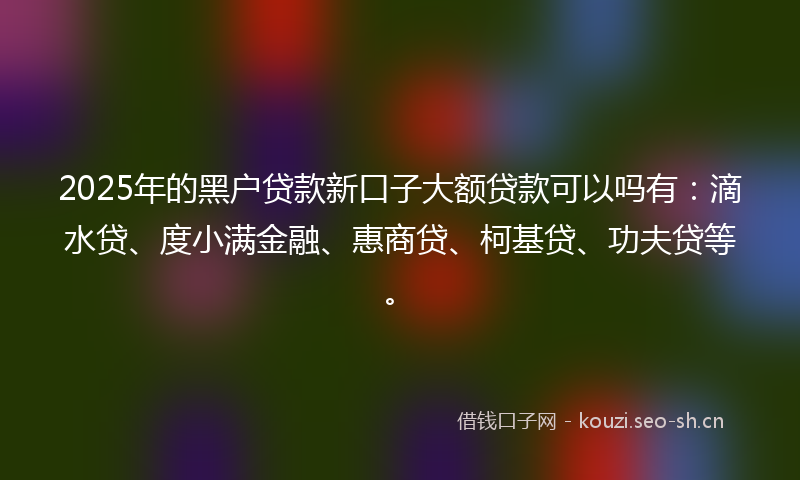 2025年的黑户贷款新口子大额贷款可以吗有：滴水贷、度小满金融、惠商贷、柯基贷、功夫贷等。