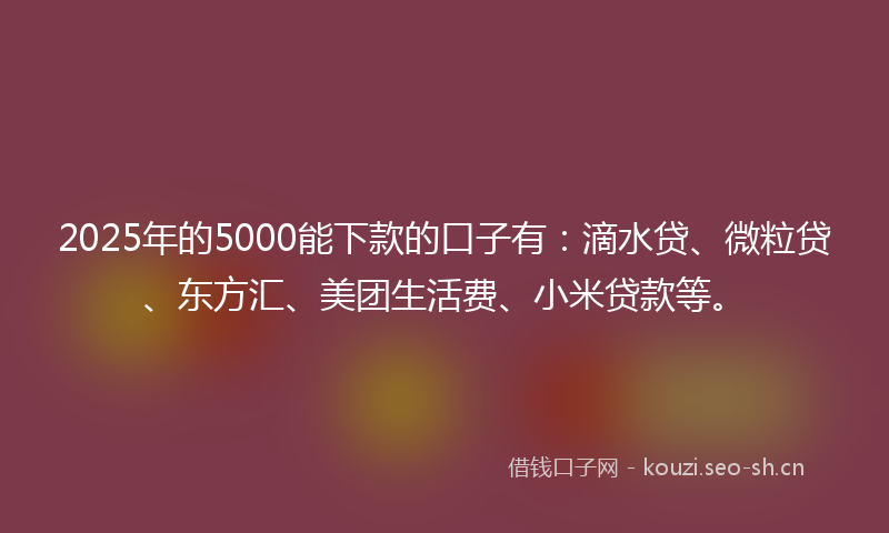 2025年的5000能下款的口子有：滴水贷、微粒贷、东方汇、美团生活费、小米贷款等。