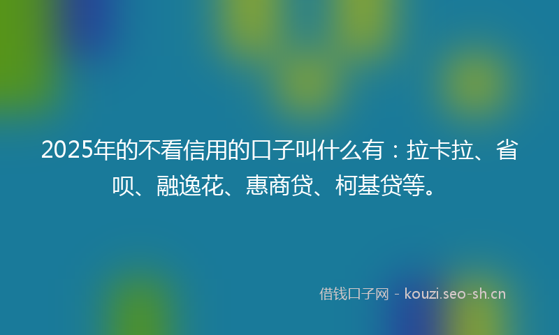 2025年的不看信用的口子叫什么有：拉卡拉、省呗、融逸花、惠商贷、柯基贷等。