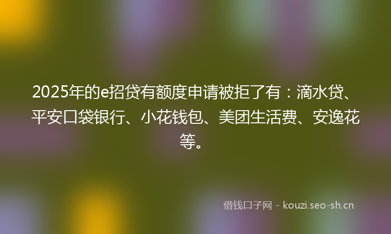 2025年的e招贷有额度申请被拒了有:滴水贷、平安口袋银行、小花钱包、美团生活费、安逸花等。
