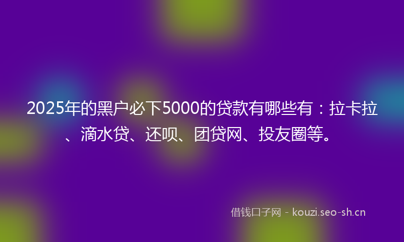 2025年的黑户必下5000的贷款有哪些有：拉卡拉、滴水贷、还呗、团贷网、投友圈等。