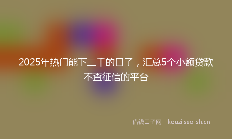 2025年热门能下三千的口子，汇总5个小额贷款不查征信的平台