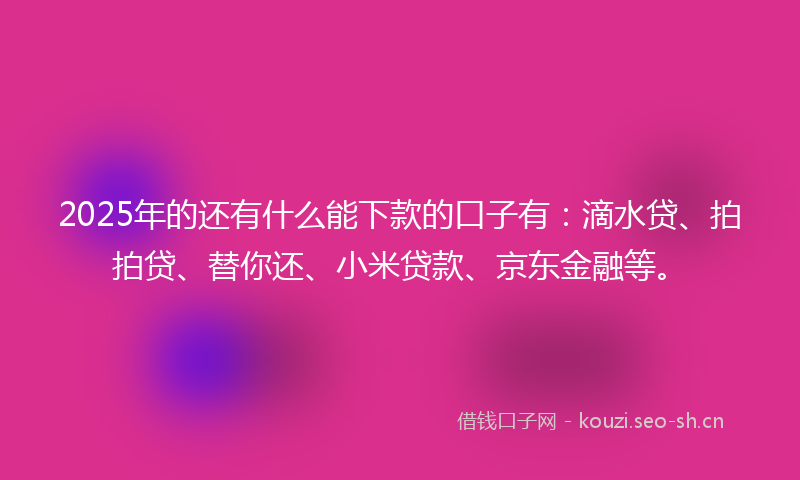 2025年的还有什么能下款的口子有：滴水贷、拍拍贷、替你还、小米贷款、京东金融等。