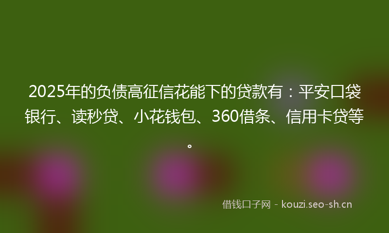 2025年的负债高征信花能下的贷款有：平安口袋银行、读秒贷、小花钱包、360借条、信用卡贷等。